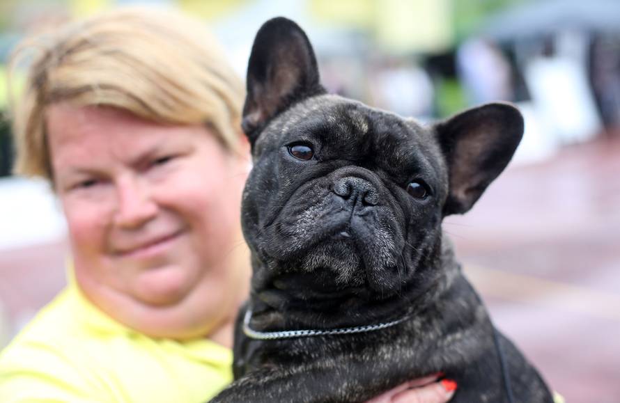 U Donjoj Pušći održana je specijalna izložba pasa 8. i 9. FCI grupe