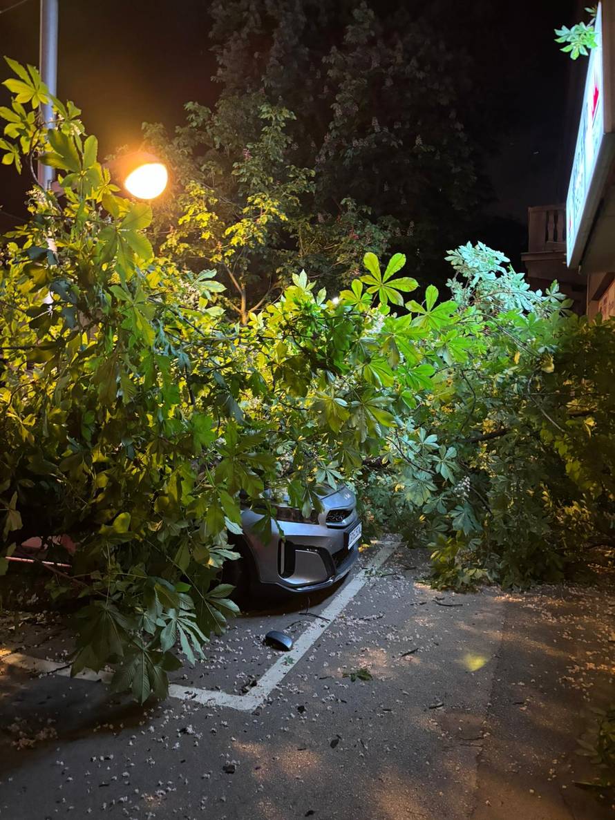 FOTO Ogromno stablo palo na auto i pločnik u Zagrebu!