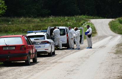 Afrička svinjska kuga  u 84 gospodarstva u Hrvatskoj, tu su nove mjere za suzbijanje bolesti