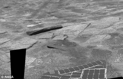 Na slikama s Marsa se vidi splav i "divovska šuma"?