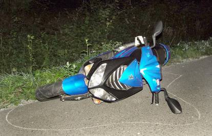 Teško ozlijeđena: Na mopedu naletjela na zlatnog retrivera