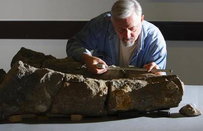 Dorset: Pronađena lubanja pliosaura duga 2,5 metra