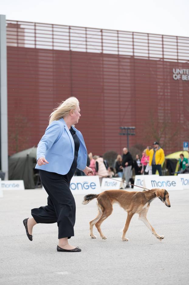 U Zaprešiću održana CAC nacionalna izložba pasa