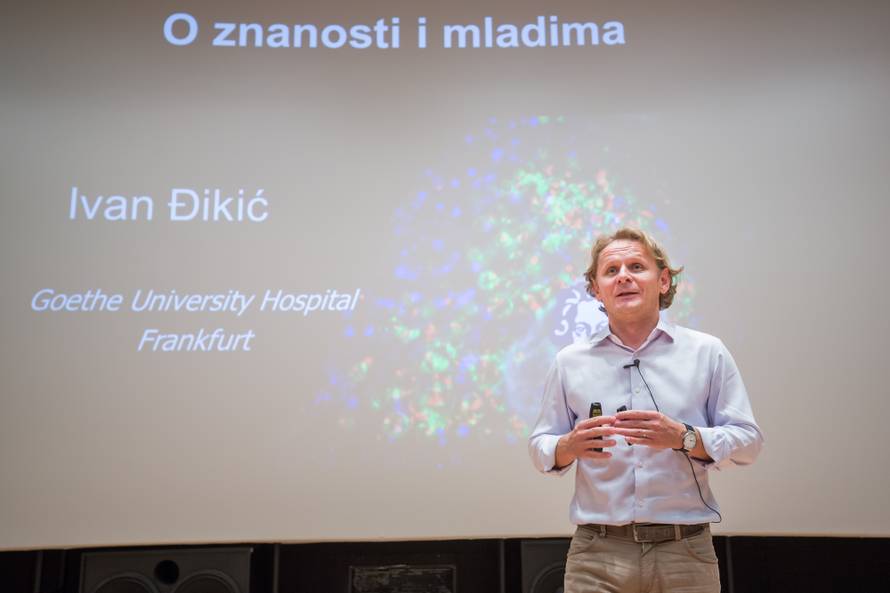 Đikić: 'Među nama nije ubojica koji će ubiti 15 posto Hrvata'