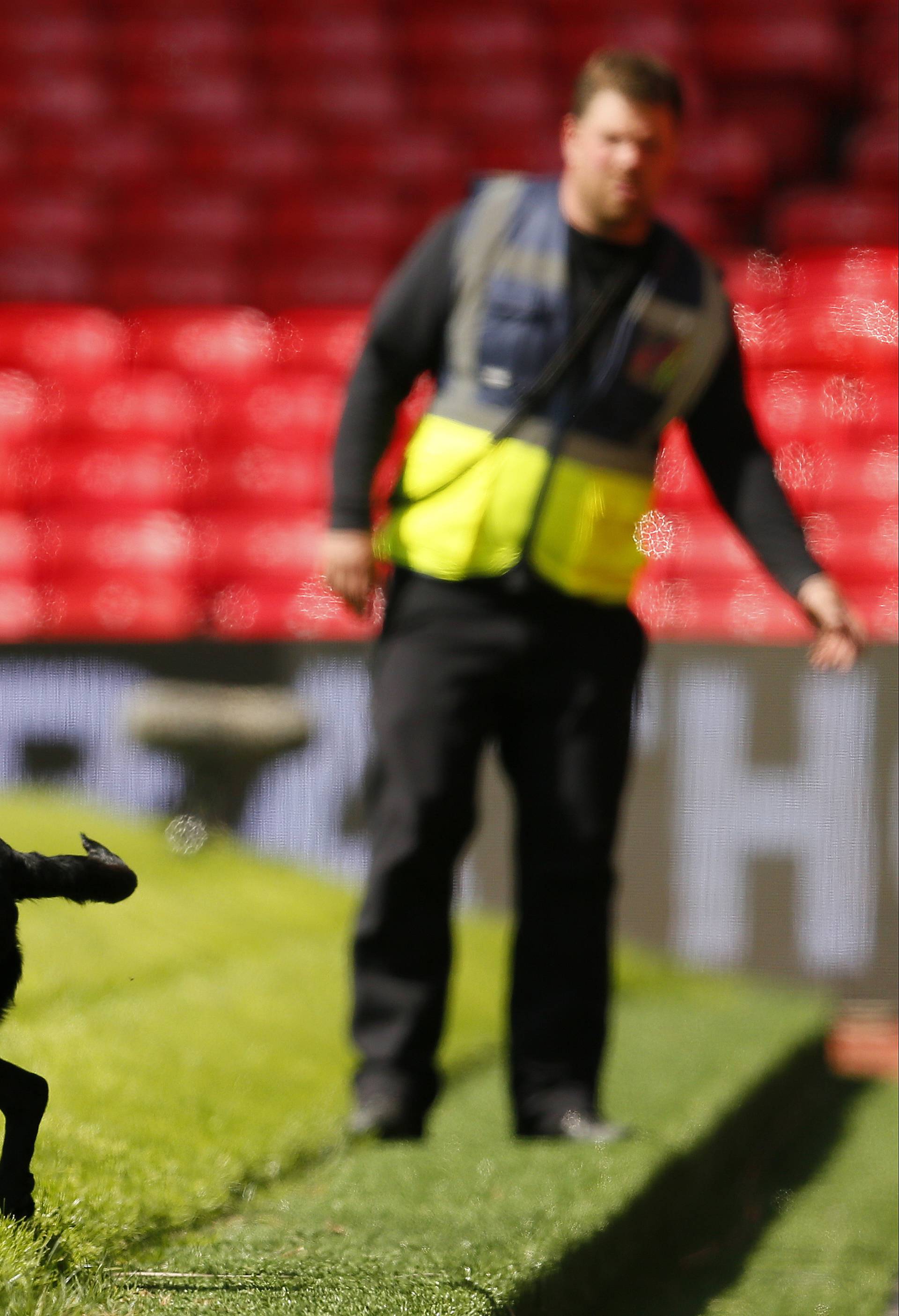 Manchester United v AFC Bournemouth - Barclays Premier League