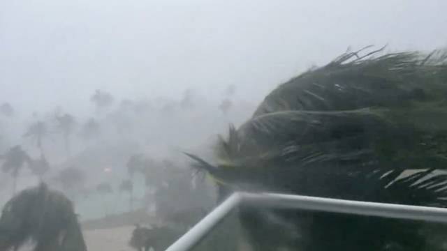 Trees bend in the strong winds from Hurricane Beryl in Montego Bay