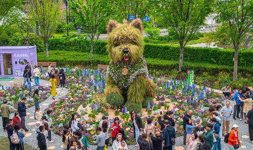 FOTO Izgleda kao AI, ali nije: Cvjetni pas odu&scaron;evio posjetitelje