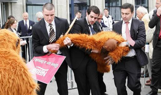 Policija izbacila orangutane iz Nestleove zgrade