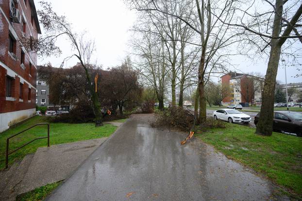 Zagreb: Jak olujni vjetar polomio stabla i grane na Jarunu