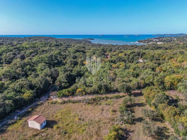 FOTO Pogledajte ovu kućicu u Rovinju za 250.000 €! Ima 15 kvadrata, kažu da je blizu mora