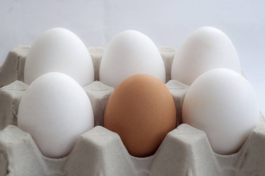 Koje odabrati: Znate li razliku između smeđeg i bijelog jajeta?
