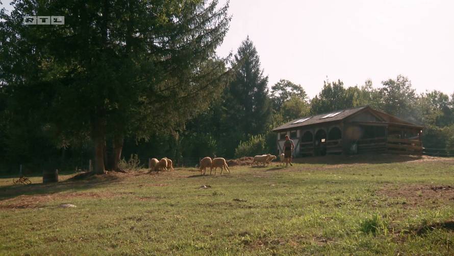 Haris je postao novi vođa na farmi! Iznenadio izborom sluga: 'Šokirana sam, baš je dvoličan'
