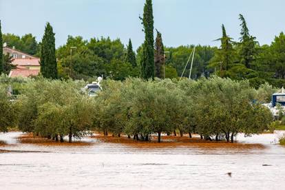 Obilna kiša u Istri uzrokovala  je poteškoće u prometu te su poplavljeni maslinici i vinogradi