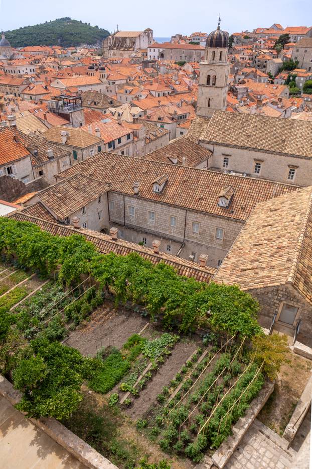 Dubrovnik: Vrtovi franjevačkog samostana