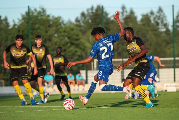 Radomlje: Prijateljska utakmica, GNK Dinamo - NK Radomlje