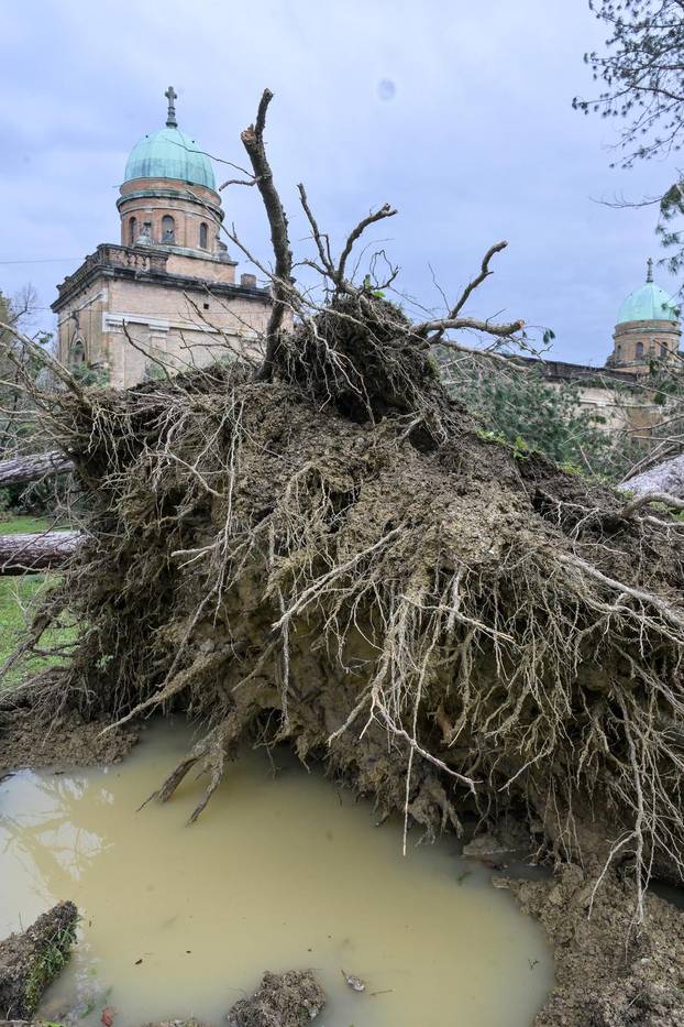 Zagreb: U nevremenu teško  oštećeno gradsko groblje Mirogoj