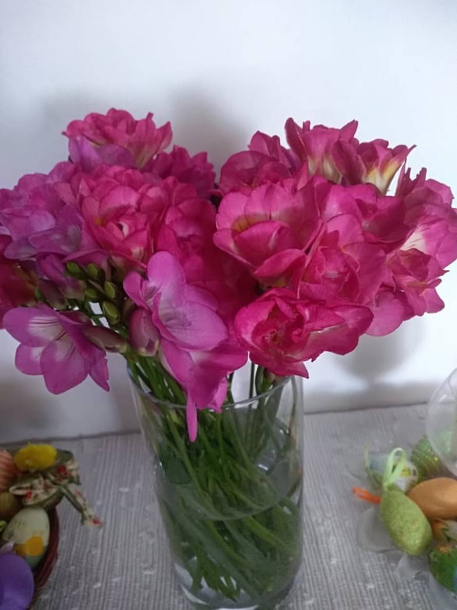 Za 70. rođendan poželjela mali buketić: Zasuli su me cvijećem