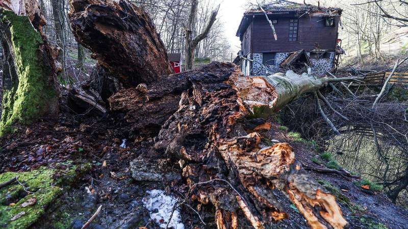 FOTO Nevrijeme je razorilo omiljeno zagrebačko izletište: 'Kao da je prošao tornado'