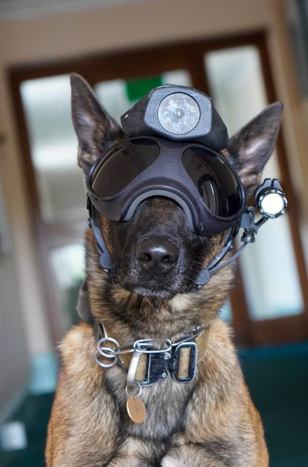 New high tech police dog cam puts criminals in the picture