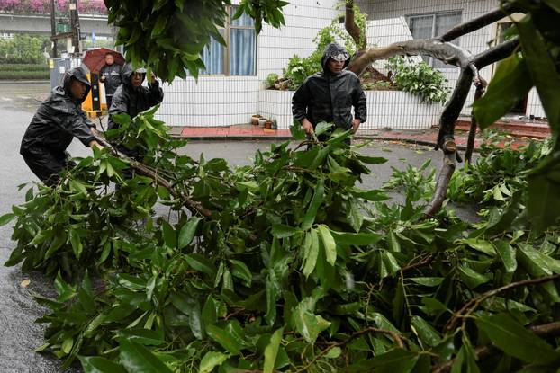 People work to remove a fallen tree from a street in the aftermath of Super Typhoon Ragasa, in Shenzhen