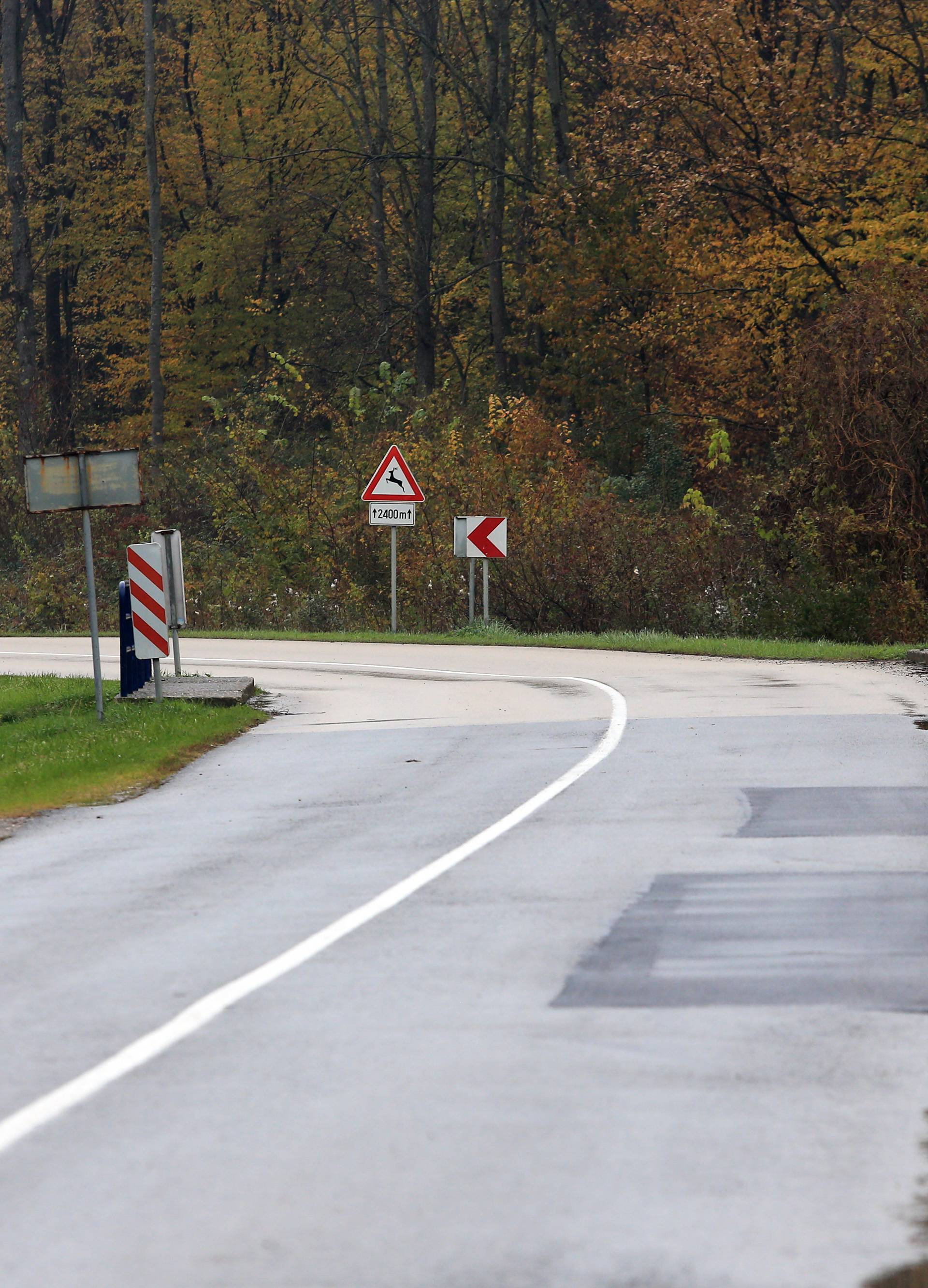 Sletjeli s ceste i prevrnuli se: Cura poginula, mladić ozlijeđen