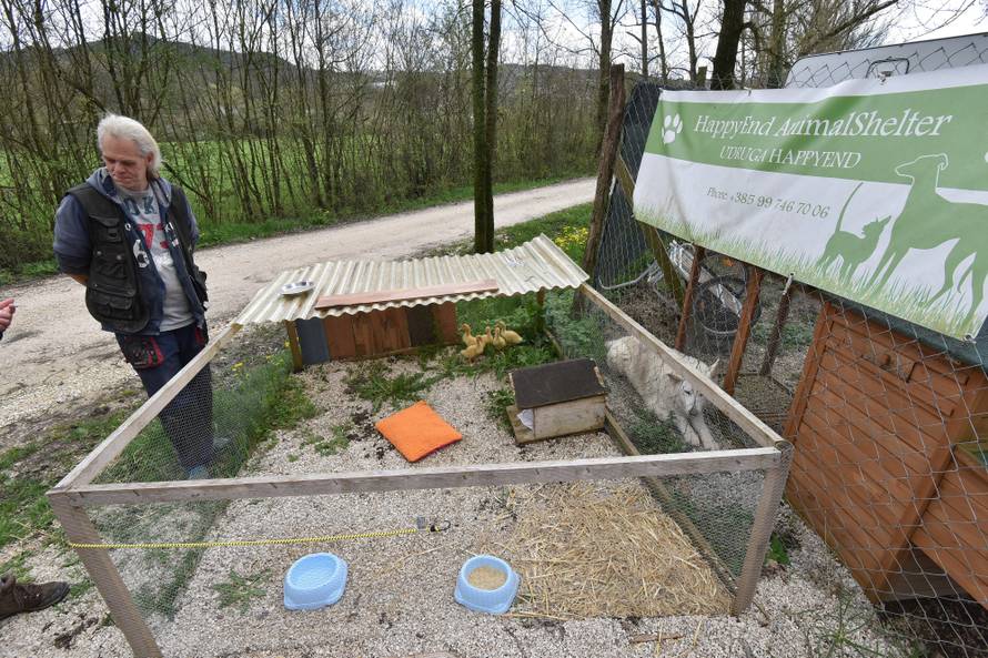 Kupila patke i spasila ih od lonca, a čuvaju ih psi iz azila