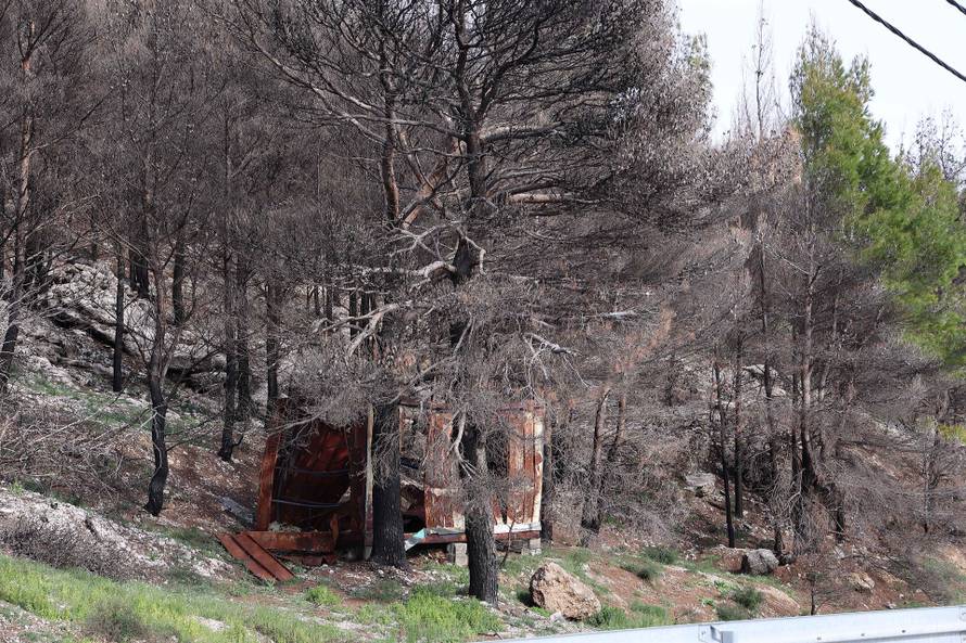 24SATA Omiš: Borna Budić, Ponos Hrvatske