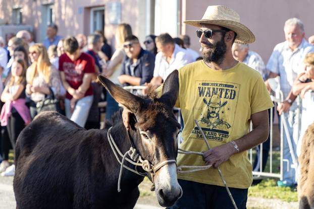 Pula: Održana je tradicionalna 55. Trka na tovari