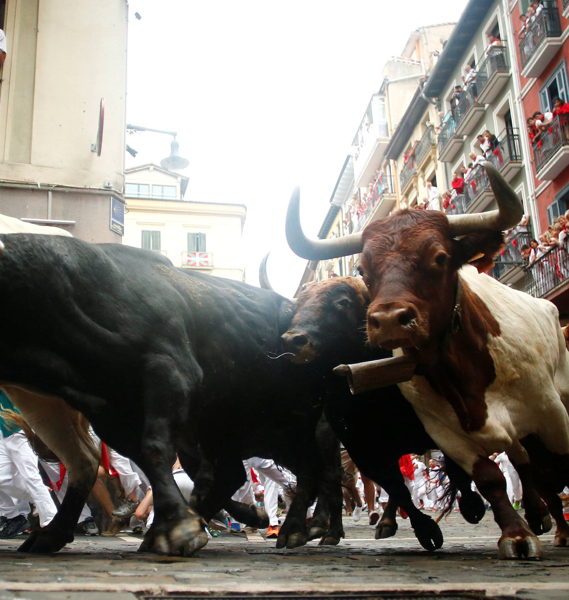 Runners sprint alongside Fuente Ymbro fighting bulls during the fourth running of the bulls at the San Fermin festival in Pamplona