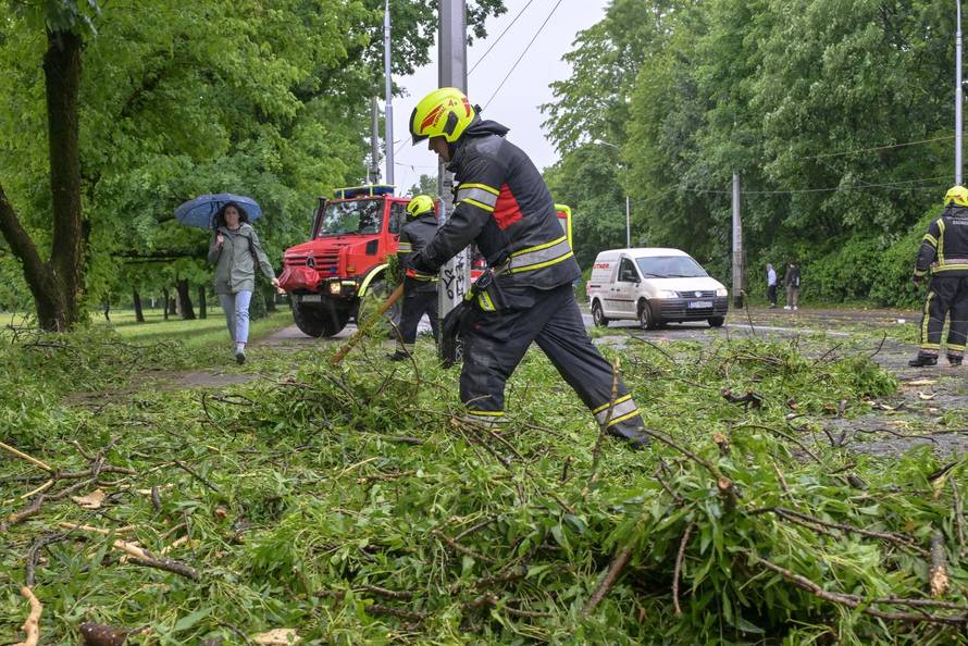Zagreb: Palo stablo na Maksimirskoj, blokiran promet, vatrogasci na terenu
