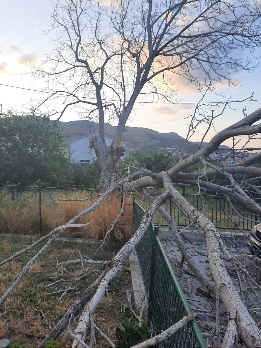 U Zagrebu i Splitu palo nekoliko stabala na ceste i aute, u Senju naleti bure od 153 km/h