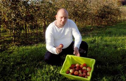 Šteta 18.000 kuna: "Ukrali su mi 12 tona jabuka iz voćnjaka"