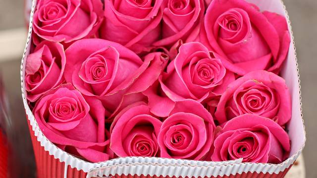 Pazite kakvu ružu darujete jer svaka boja ima svoje značenje
