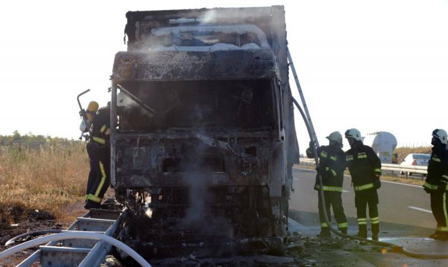 Hrvoje Jelavić/PIXSELL