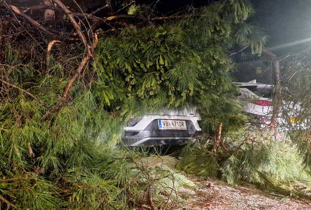 Uništeni automobili pod krošnjama nakon veliko nevremena u Rovinju