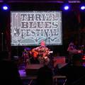 Središte bluesa u Dalmaciji: Evo tko sve dolazi na 'Thrill Blues Festival' ove godine u Trilj