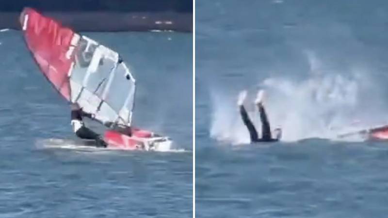 BIZARNO Sudario se s kitom!