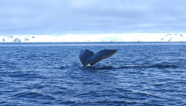 FOTO Par iz Dalmacije motorima obišao cijelu Južnu Ameriku: Pogledajte te prirodne ljepote!
