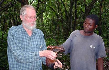Znanstvenici  u Tanzaniji otkrili novu vrstu sisavca