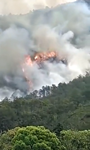 Avion skoro letio brzinom zvuka prije nego što je počeo padati? Kineske službe našle crnu kutiju