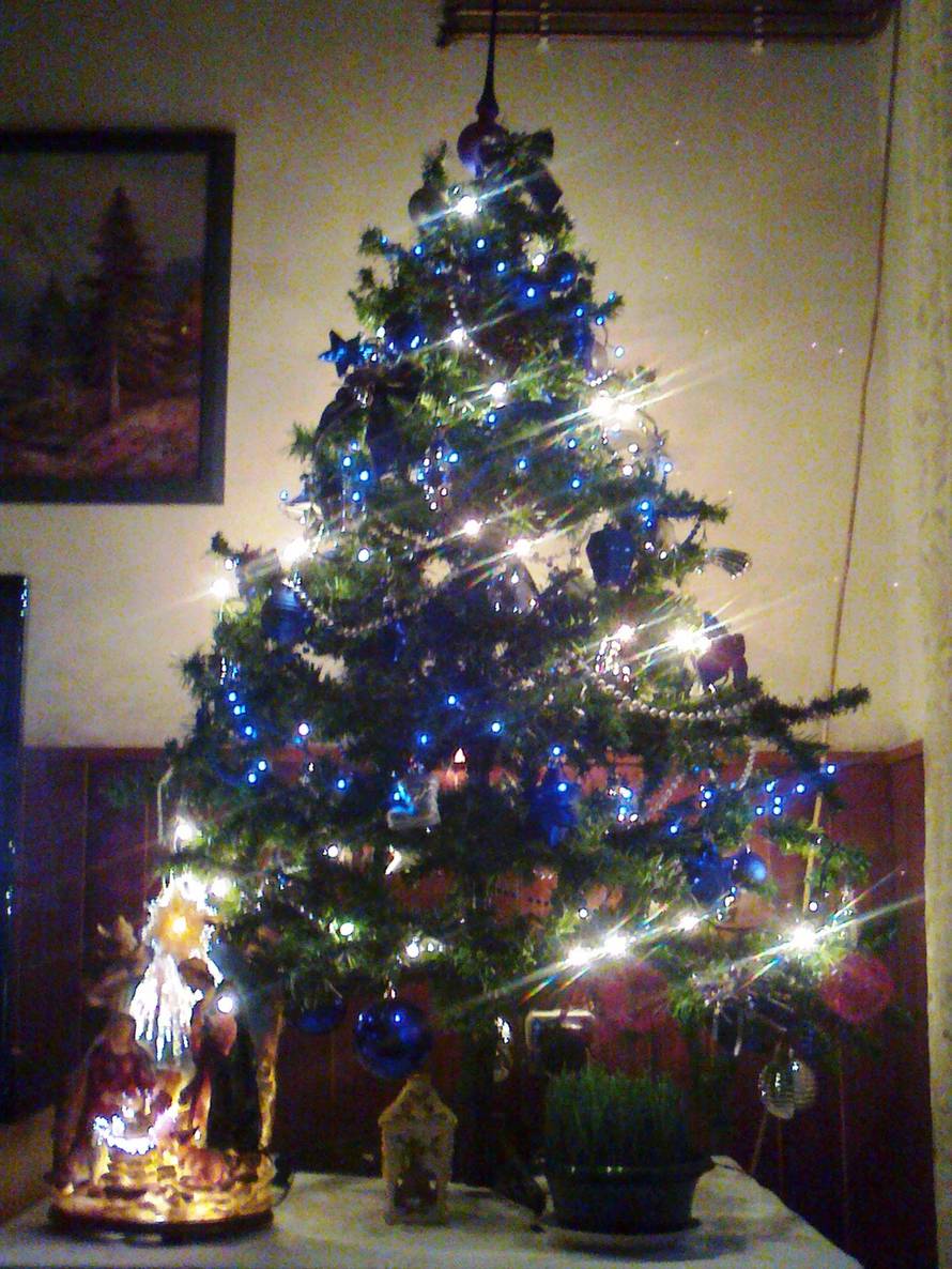 Šaljite fotografije božićnih jelki i osvojite vrijednu nagradu...