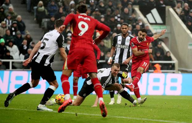 Premier League - Newcastle United v Liverpool