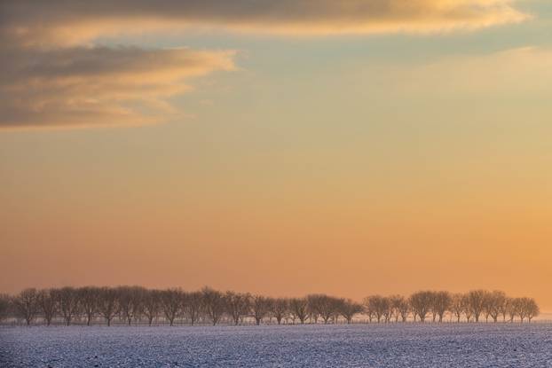 Slavonska ravnica u mrzlo jutro: Predivni prizori snijega i leda