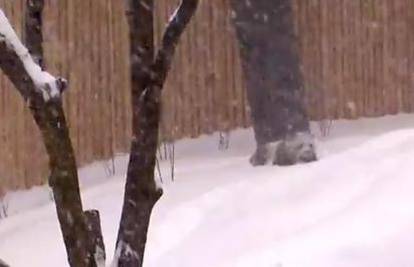 Kamere snimile pandu Da Mao kako se zabavlja na snijegu
