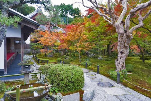 8 efektnih načina za spriječiti ubode komaraca ovog ljeta