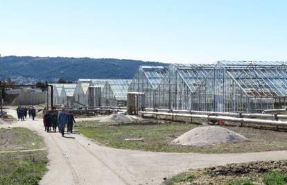 Kaštelanski staklenici idući tjedan vjerojatno idu u stečaj