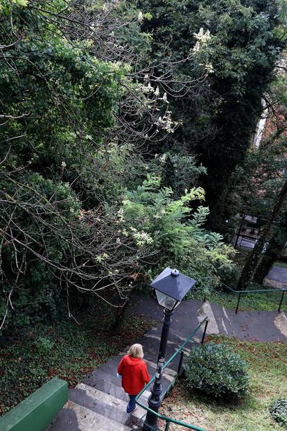 U Zagrebu su procvjetali kesteni