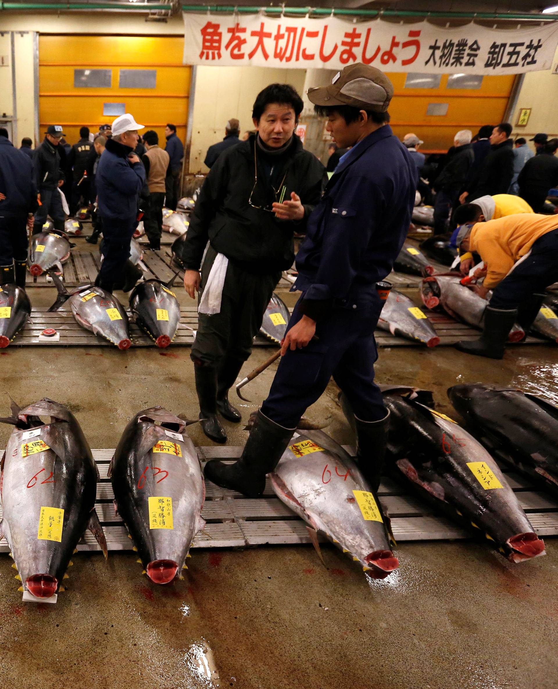 Wholesalers check the quality of fresh tuna displayed at the Tsukiji fish market before the New Year's auction in Tokyo, Japan