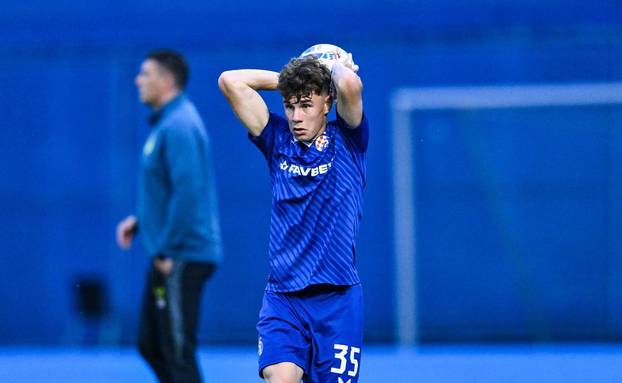 Zagreb: Prijateljska nogometna utakmica izmedu GNK Dinamo i FK Vardar