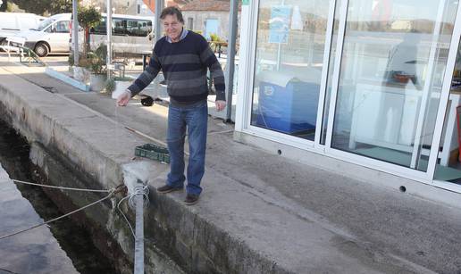 Oscar se voli maziti: Uživa u češkanju štapom po trbuhu